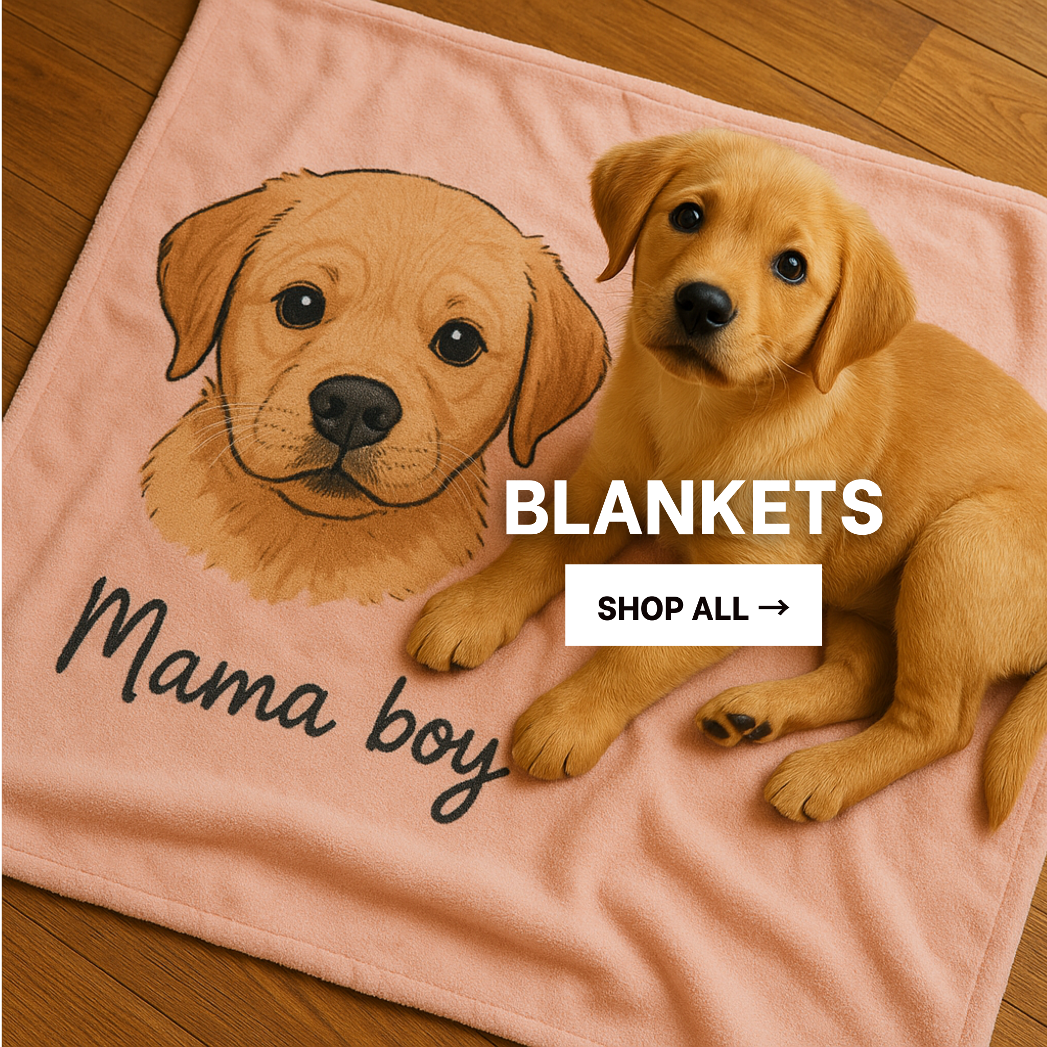 blankets-category